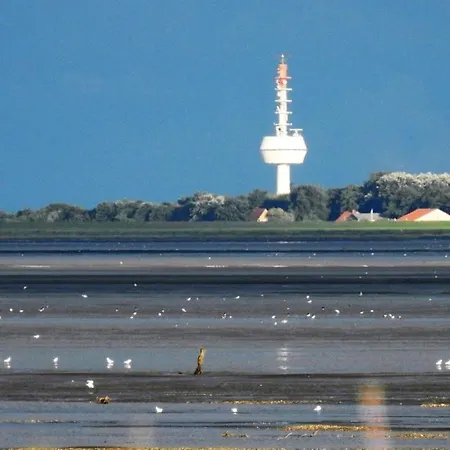 Witthoehn-Nord-13-Whg-2 *